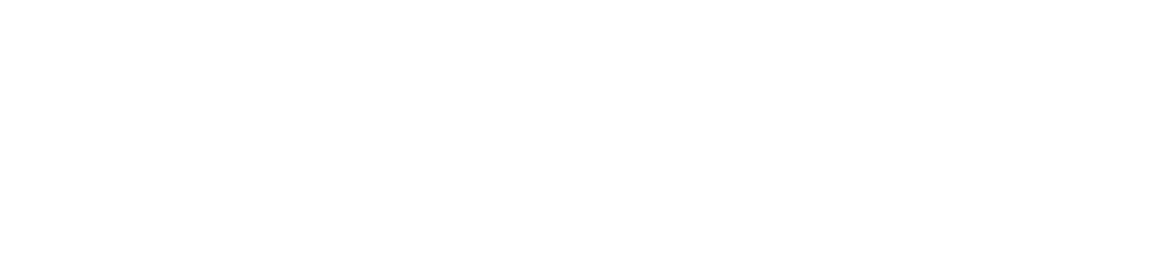 LIFESTYLED MARKETING logo